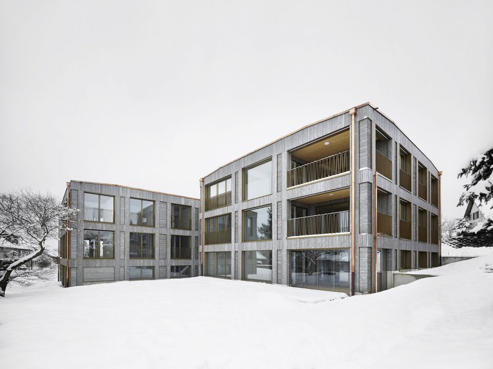 Two New Apartment Buildings in Wetzikon ZH by idA