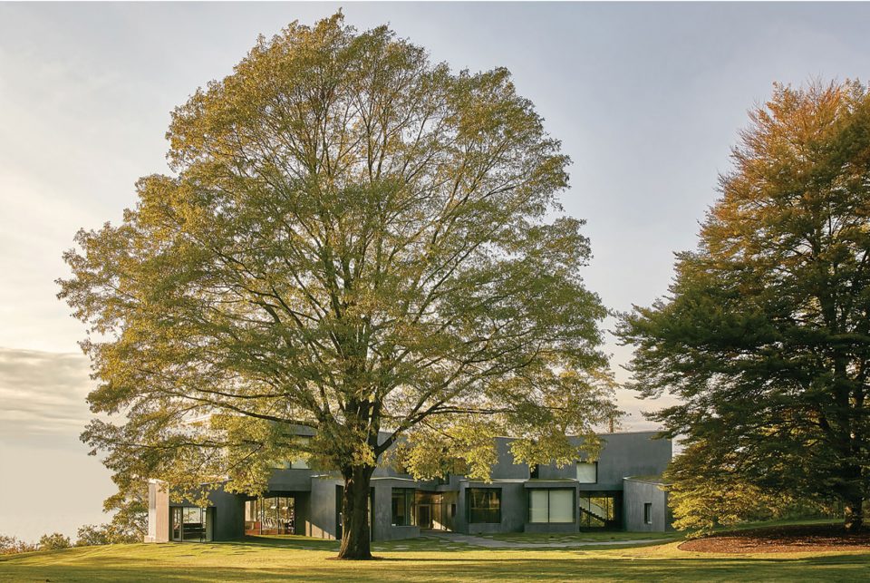 2017 residential design honor award abstracting morphology new york by hollanderdesign landscape architects