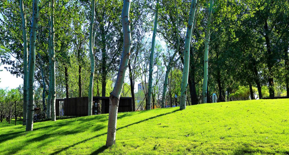 Beijing Daxing Longxi CIFI No.6 Courtyard Community Park China by DDON