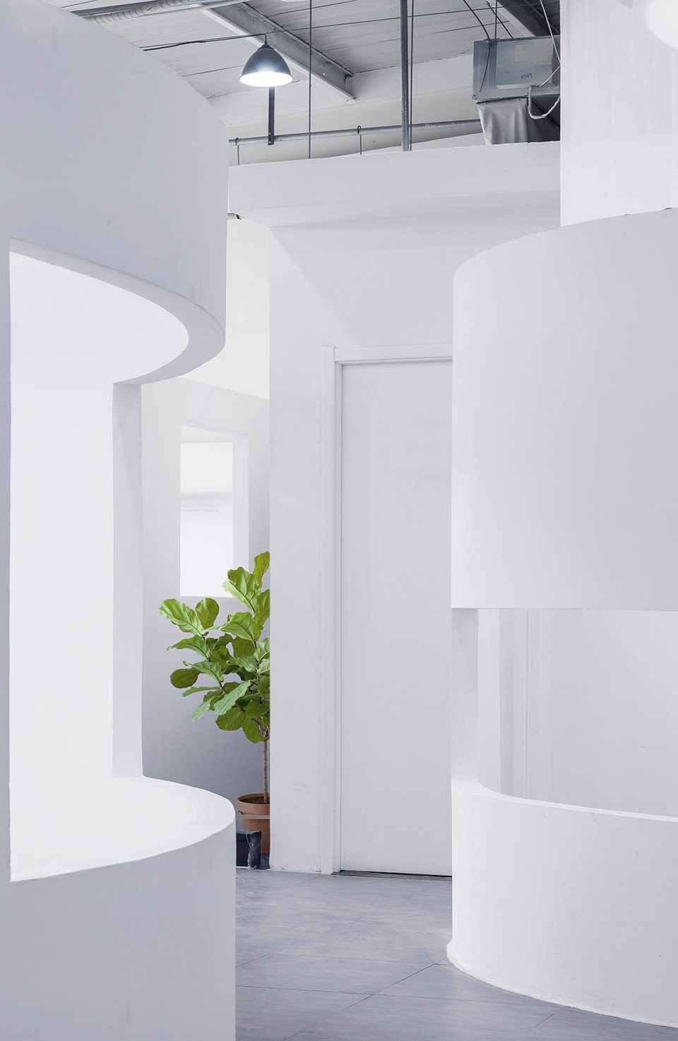 Dream Garden China by Mur Mur Lab