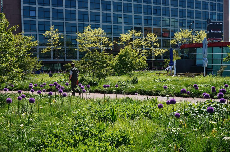 Orlysquare by City of Amsterdam Department of Environmental Planning and Sustainability