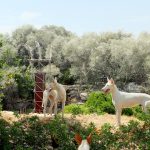 犬井，西班牙 / Gartnerfuglen Arkitekter & Mariana de Delás