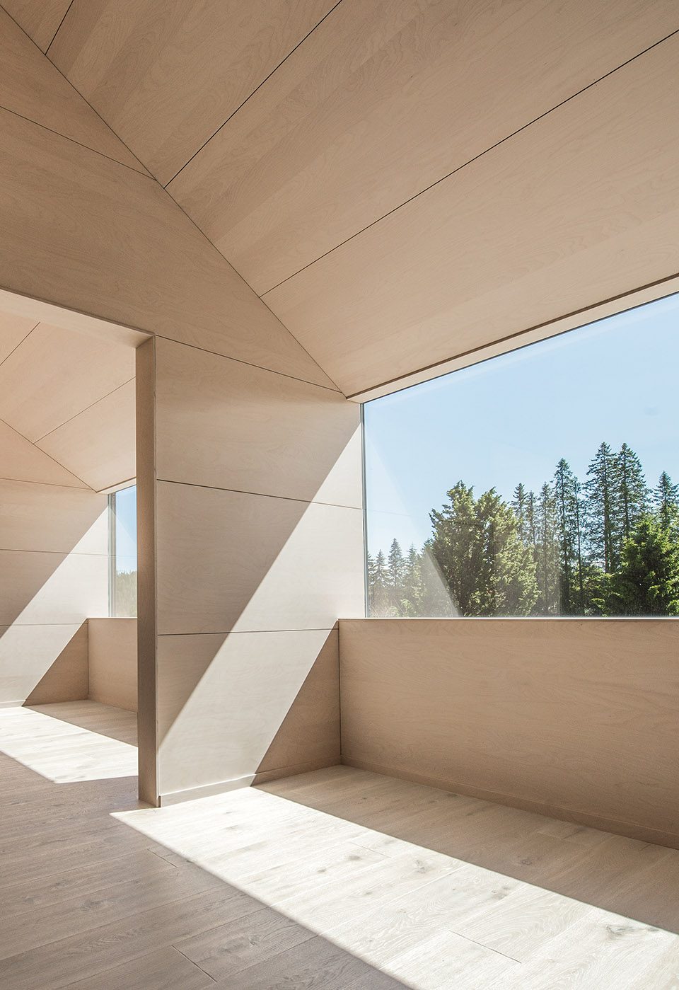 T house