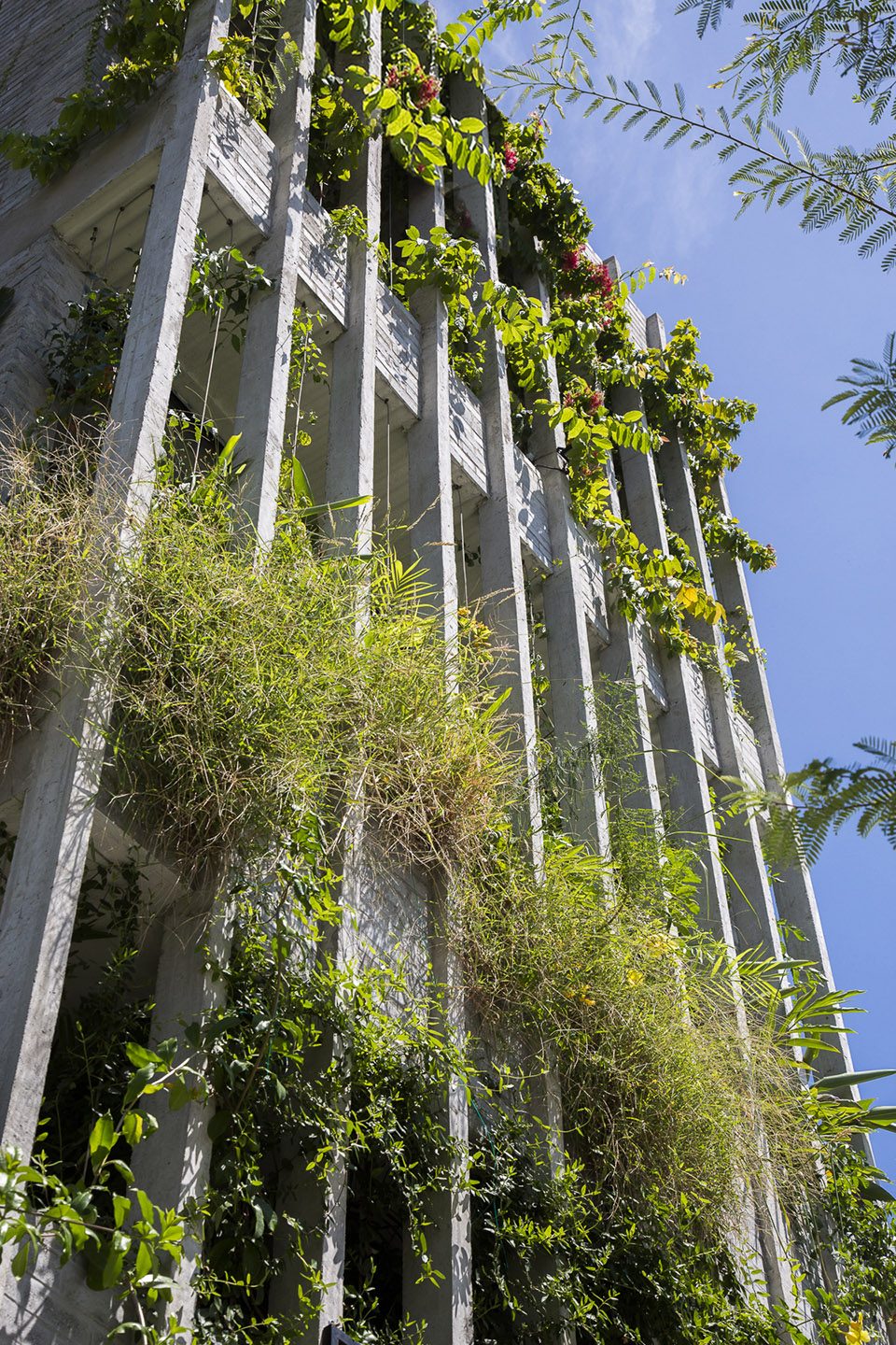 The Modern Village Office by Ho Khue Architects