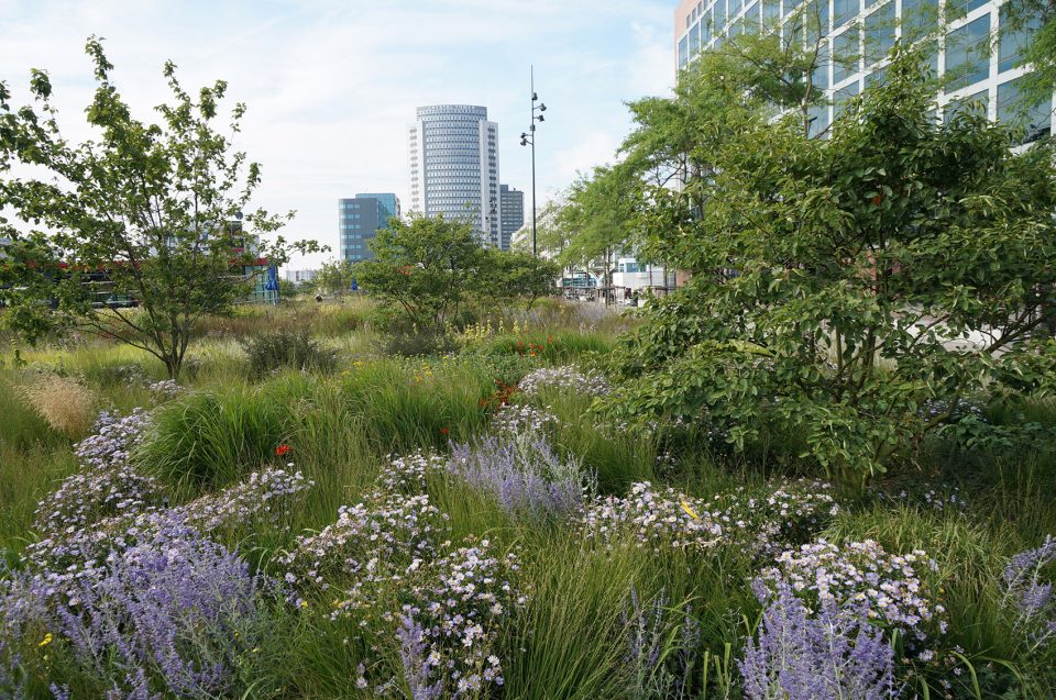 Orlysquare by City of Amsterdam Department of Environmental Planning and Sustainability