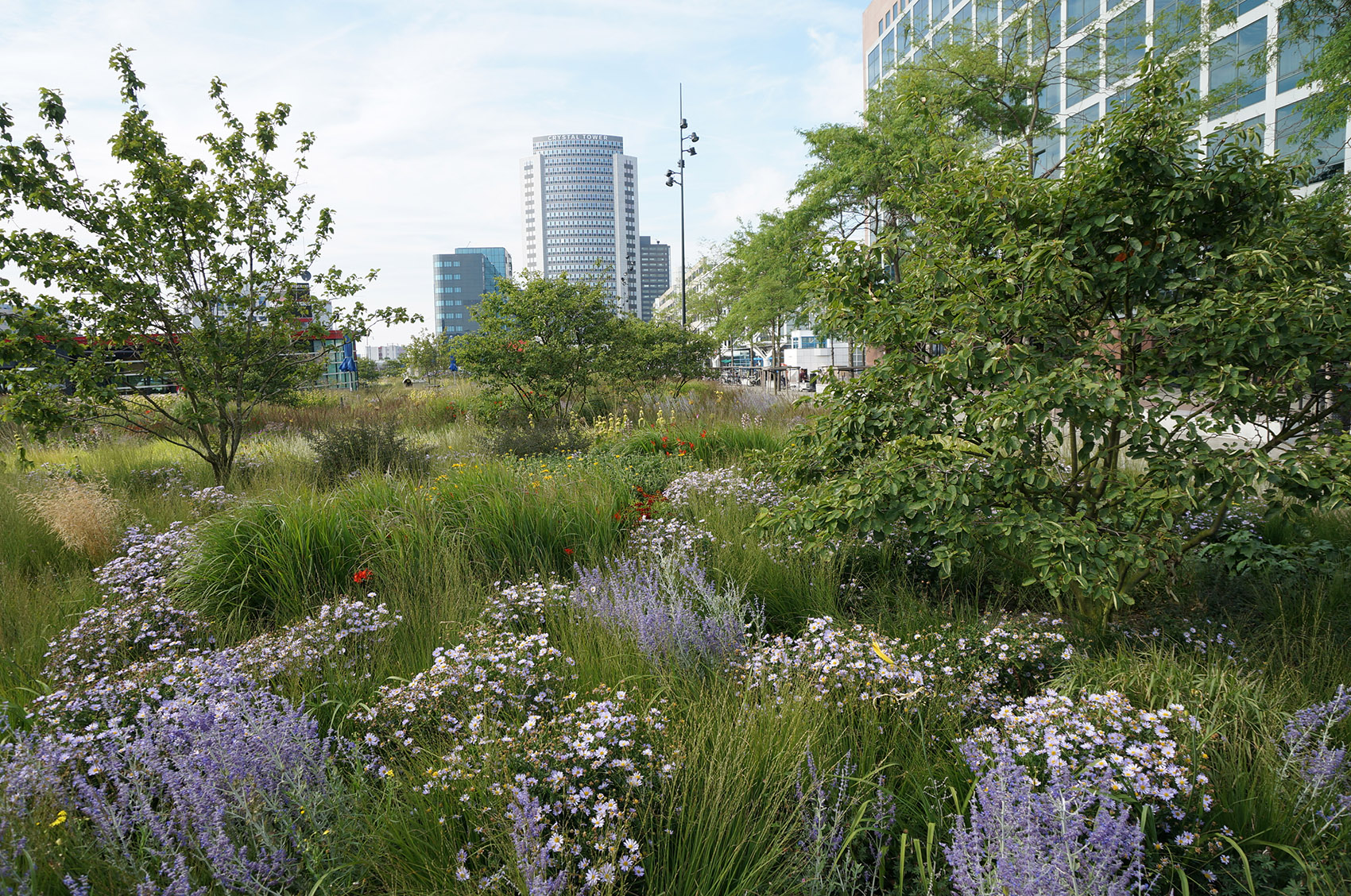 Orlysquare by City of Amsterdam Department of Environmental Planning