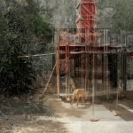 犬井，西班牙 / Gartnerfuglen Arkitekter & Mariana de Delás