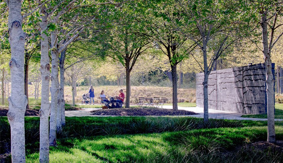 2017 ASLA GENERAL DESIGN AWARD OF HONOR Merging Culture and Ecology at The North Carolina Museum of Art by Surface 678 1 1
