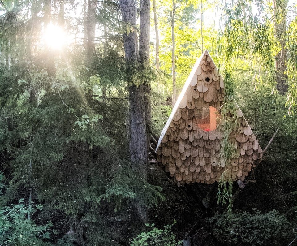 Birdhut by Studio North 960x795