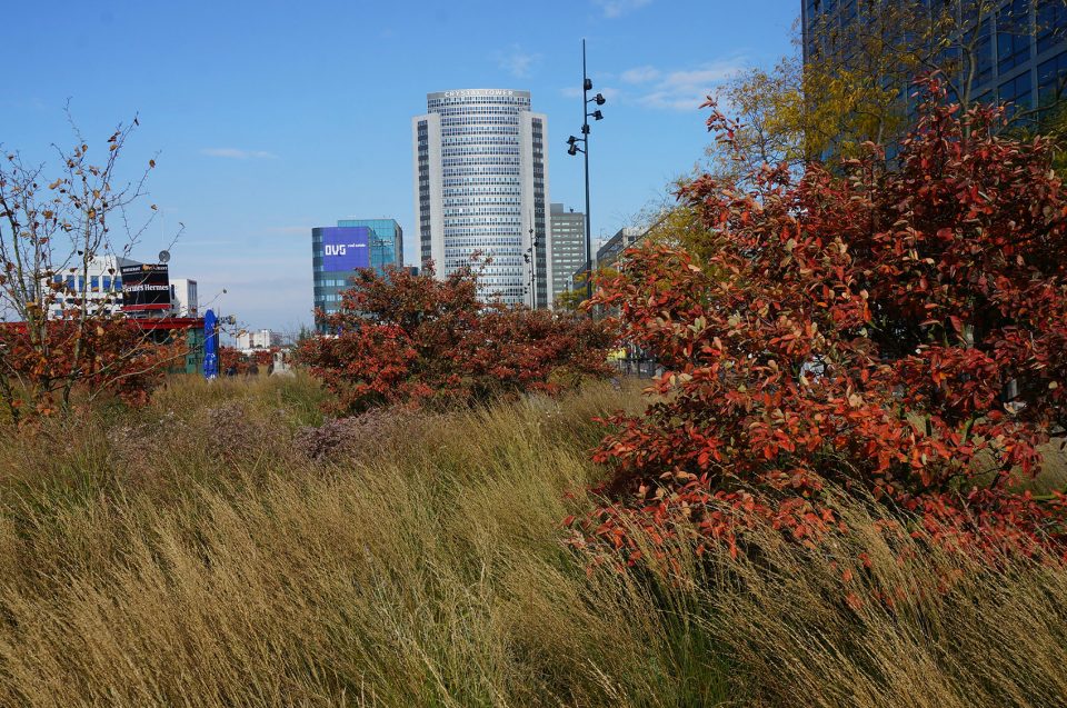 Orlysquare by City of Amsterdam Department of Environmental Planning and Sustainability