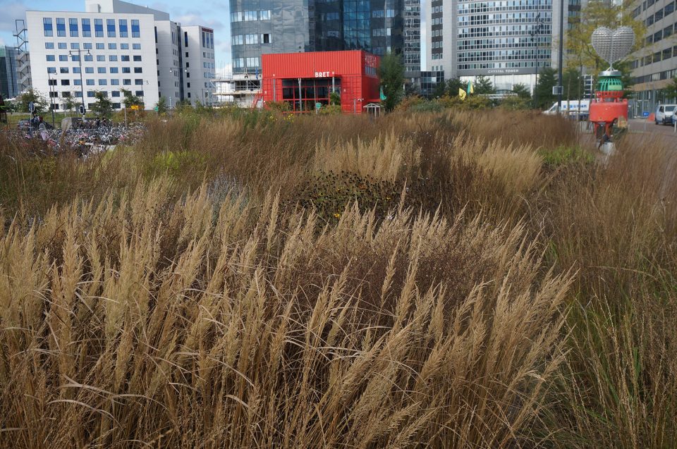 Orlysquare by City of Amsterdam Department of Environmental Planning and Sustainability