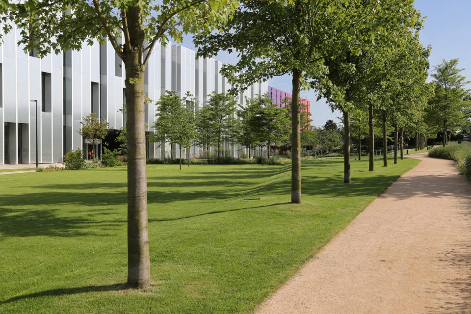 SKY UK Headquarters by Alexandra Steed URBAN Ltd