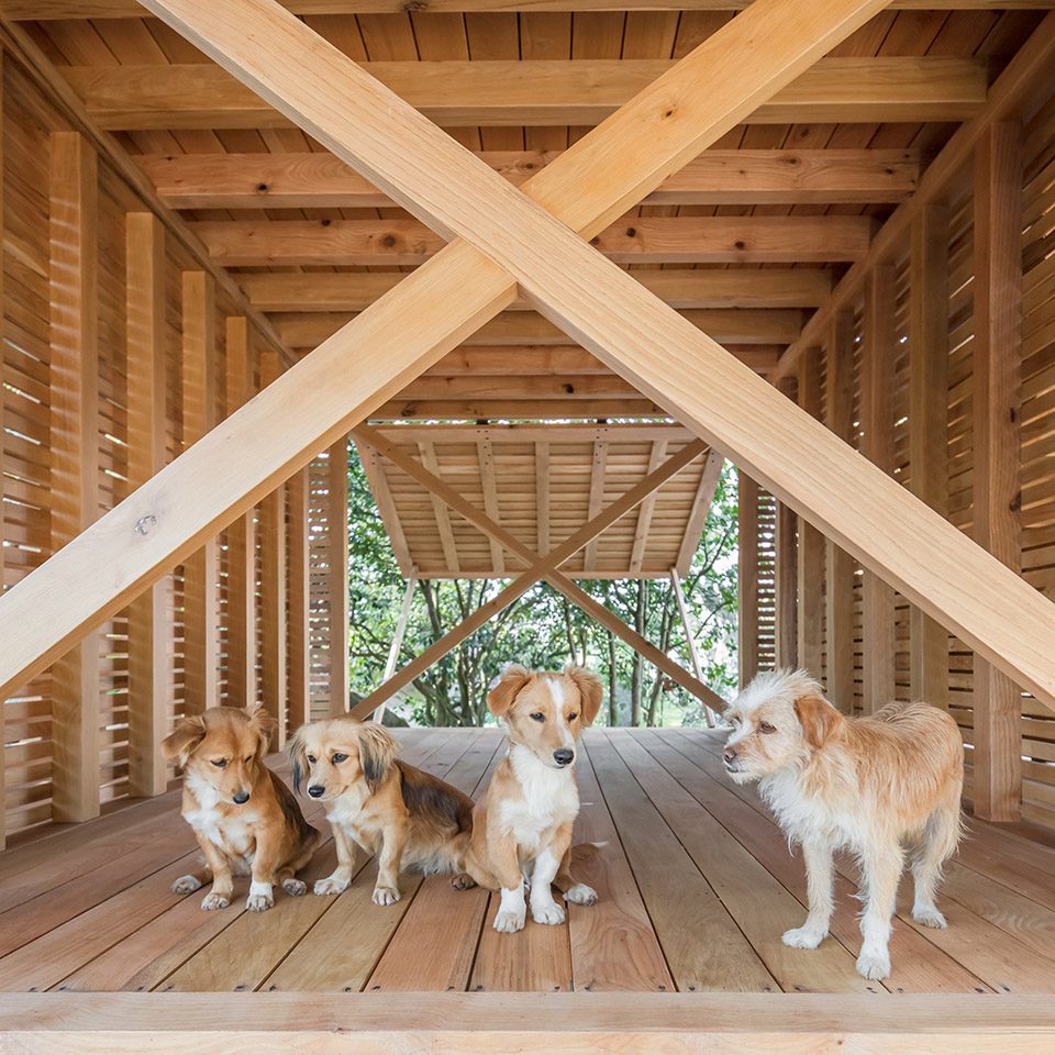 The Dovecote Granary by Tiago do Vale Architects
