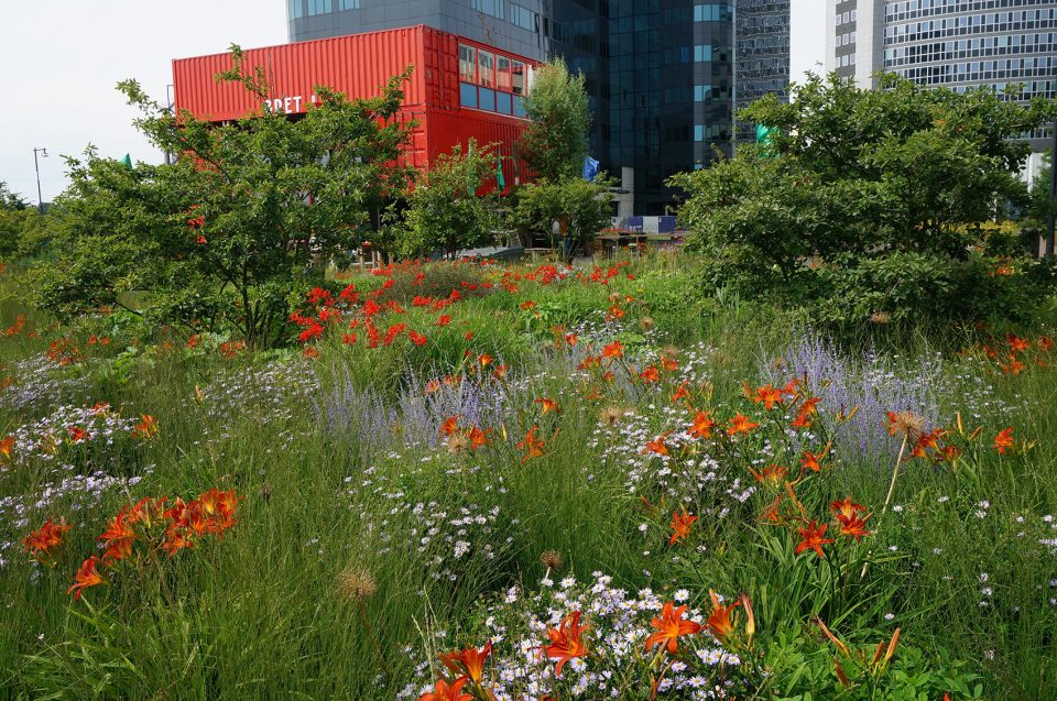 Orlysquare by City of Amsterdam Department of Environmental Planning and Sustainability