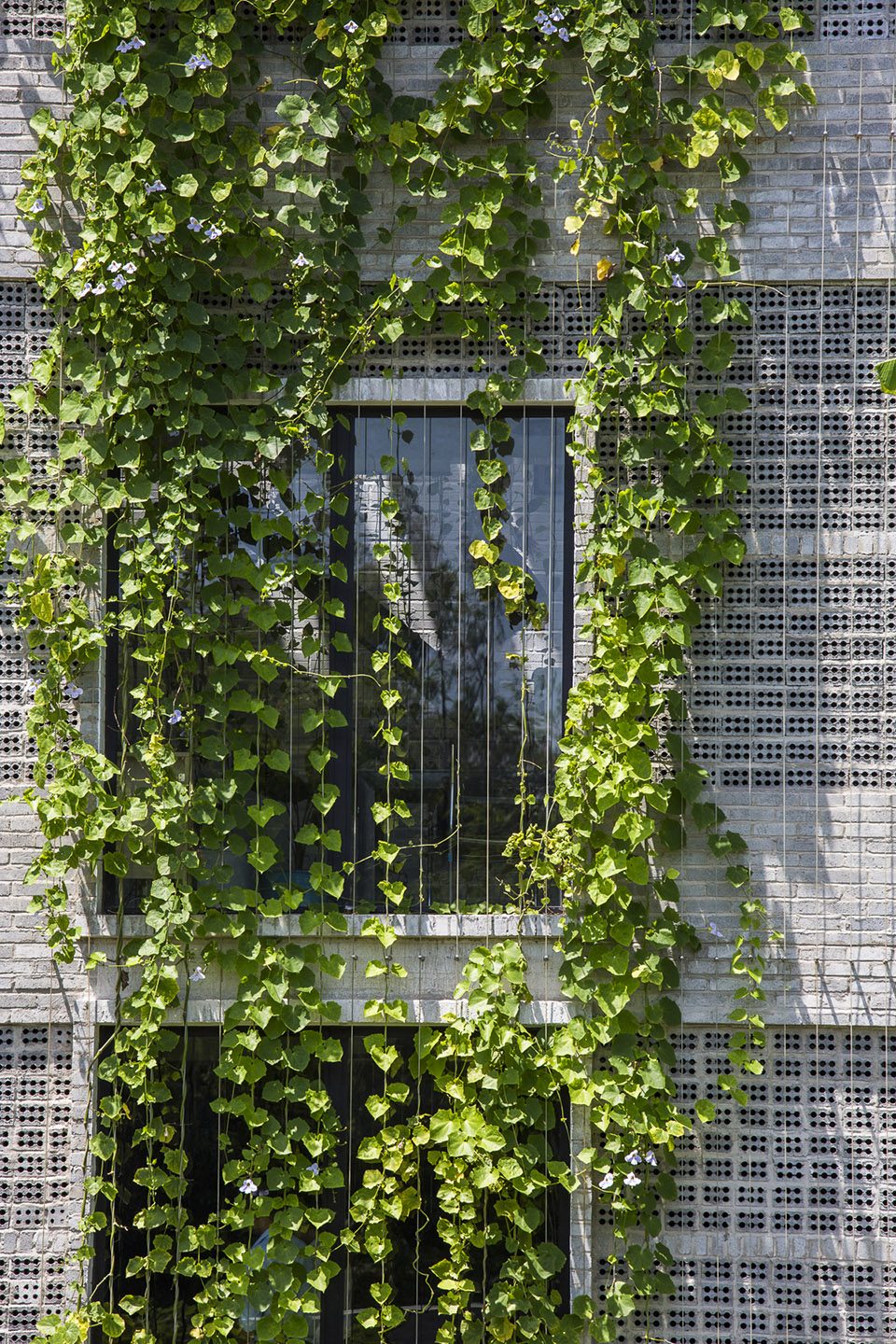 The Modern Village Office by Ho Khue Architects