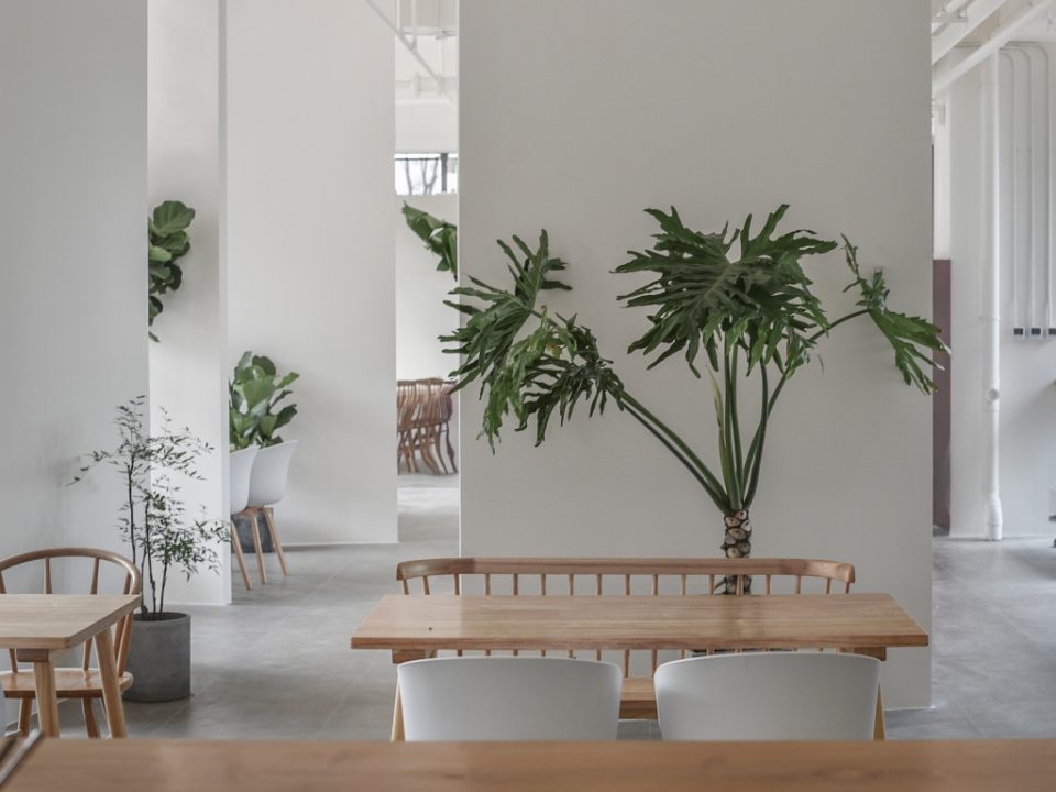 Mescape Coffee China by Li Zhe San Architects