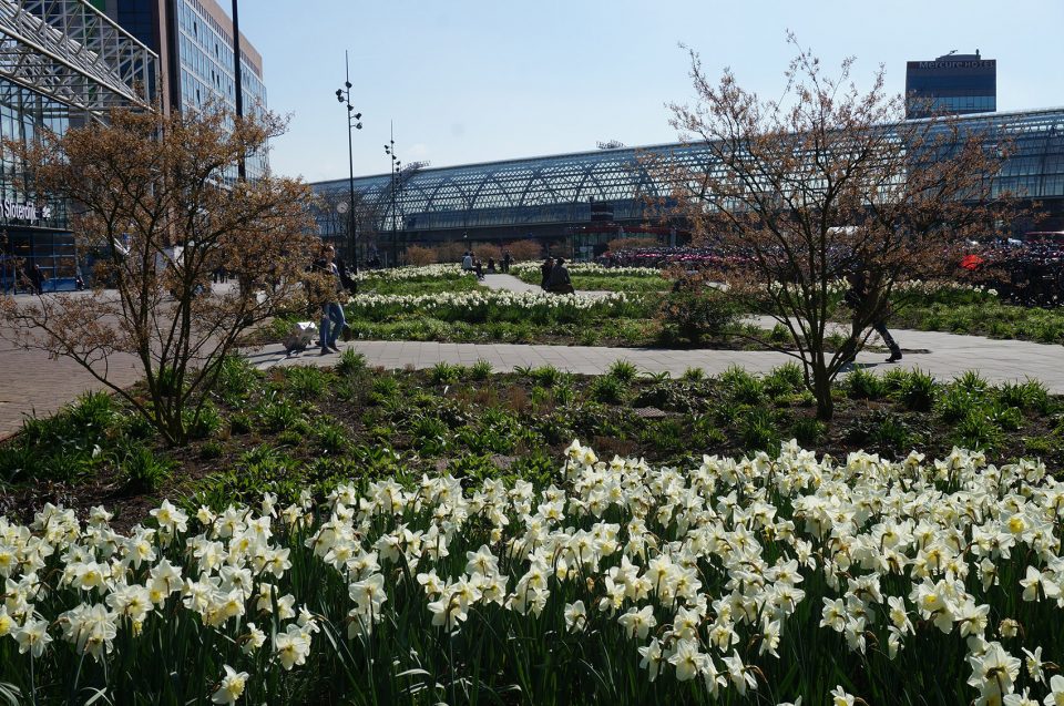 Orlysquare by City of Amsterdam Department of Environmental Planning and Sustainability