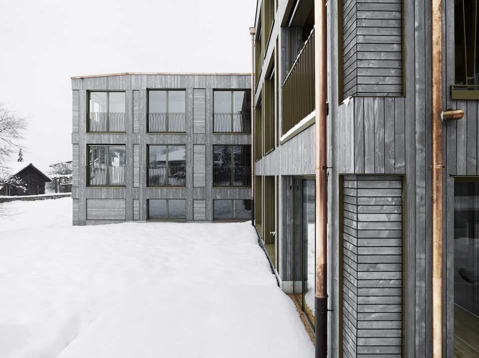 Two New Apartment Buildings in Wetzikon ZH by idA
