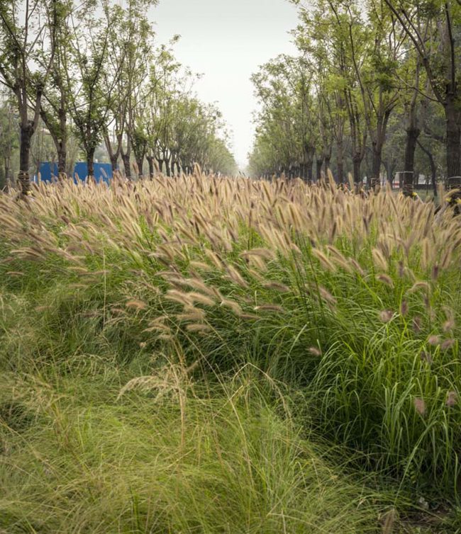 Liangshuichi East Road Shougang Beijing by NICOLAS GODELET Architects Engineers