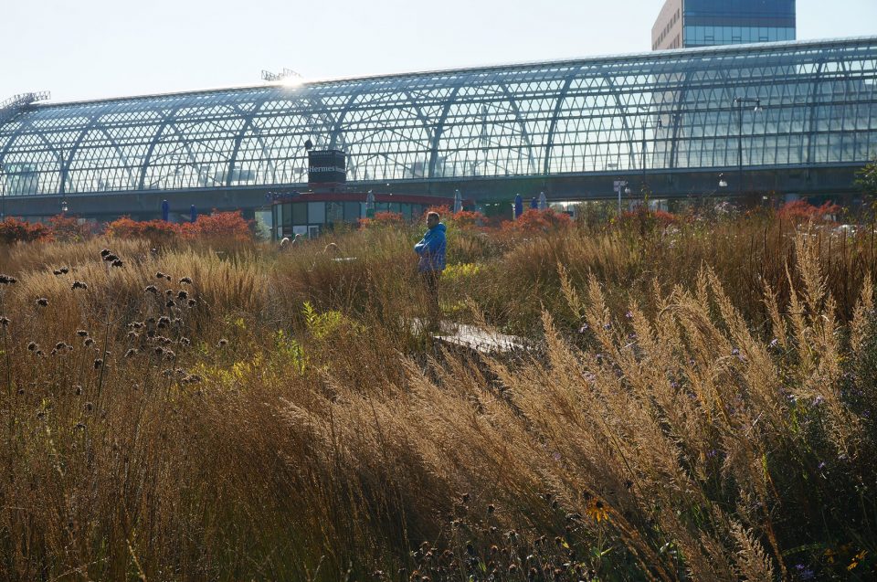 Orlysquare by City of Amsterdam Department of Environmental Planning and Sustainability
