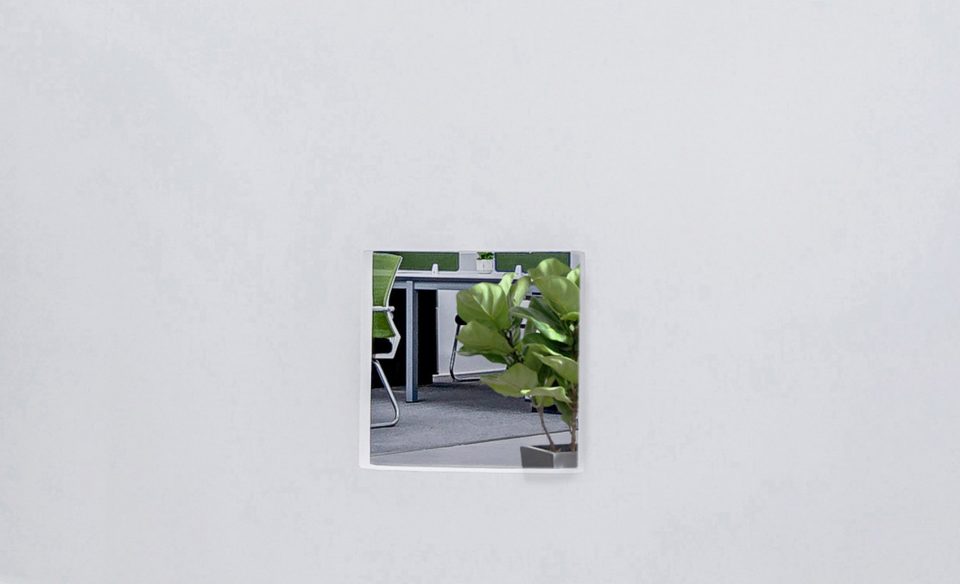 Dream Garden China by Mur Mur Lab