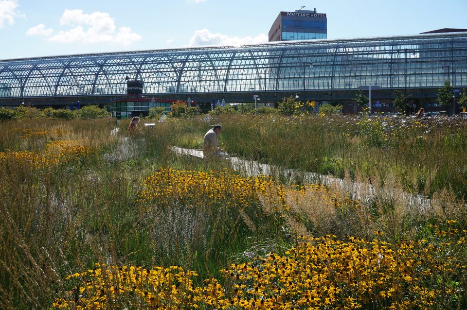 Orlysquare by City of Amsterdam Department of Environmental Planning and Sustainability