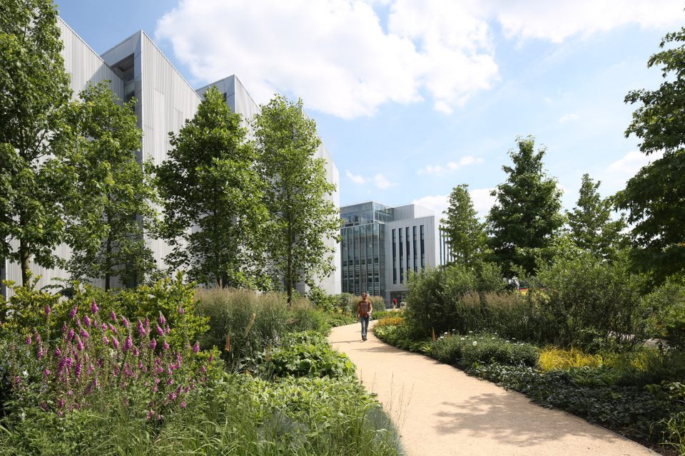 SKY UK Headquarters by Alexandra Steed URBAN Ltd