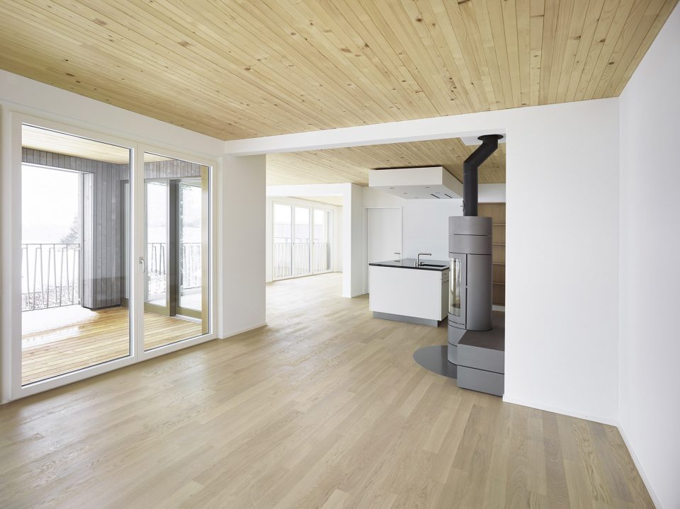 Two New Apartment Buildings in Wetzikon ZH by idA