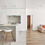 Villarroel公寓，巴塞罗那 / Raúl Sánchez