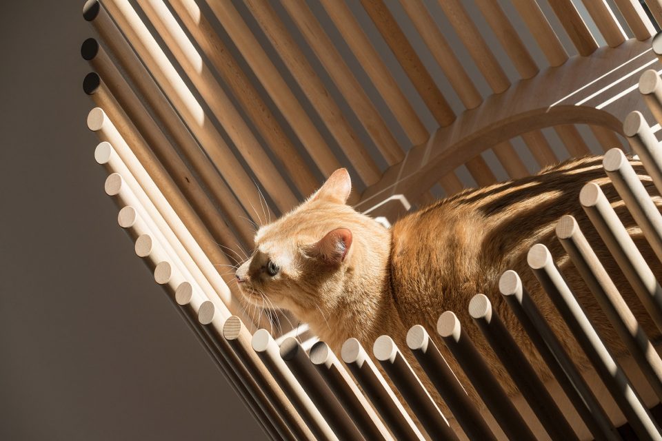 Modern Cat Tree NEKO by RINN