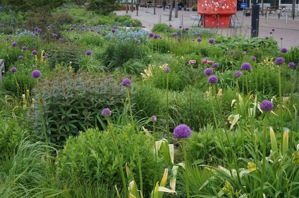 Orlysquare by City of Amsterdam Department of Environmental Planning and Sustainability