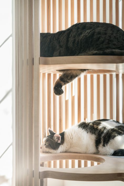 Modern Cat Tree NEKO by RINN