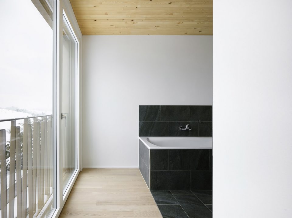 Two New Apartment Buildings in Wetzikon ZH by idA