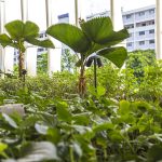 Heartbeat@Bedok大楼，新加坡 / ONG&ONG Pte Ltd