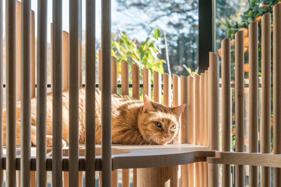 Modern Cat Tree NEKO by RINN