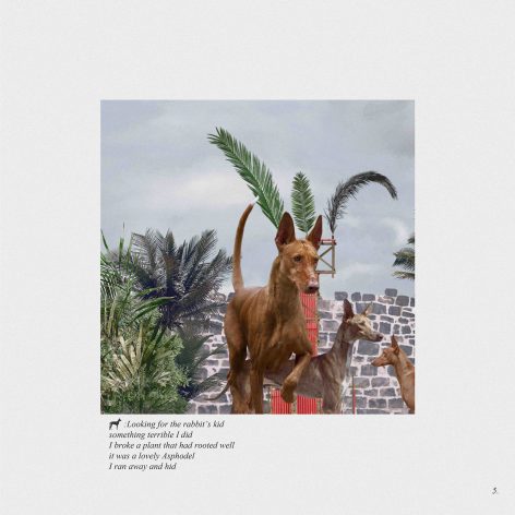 Pozo Podenco by Gartnerfuglen Arkitekter Mariana de Delás