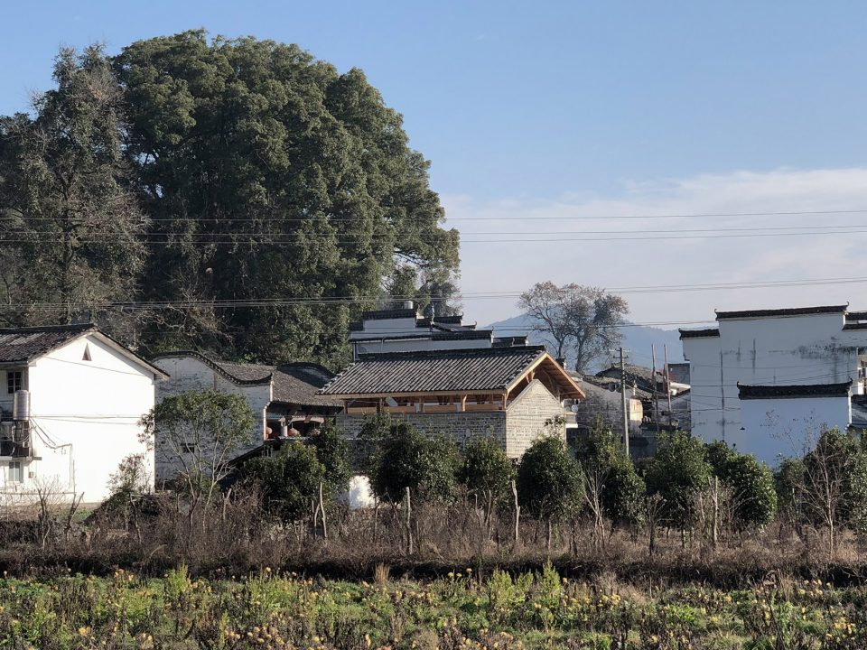 house qimen black tea house in taoyuan village shanli anhui province china by su architects