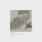 犬井，西班牙 / Gartnerfuglen Arkitekter & Mariana de Delás