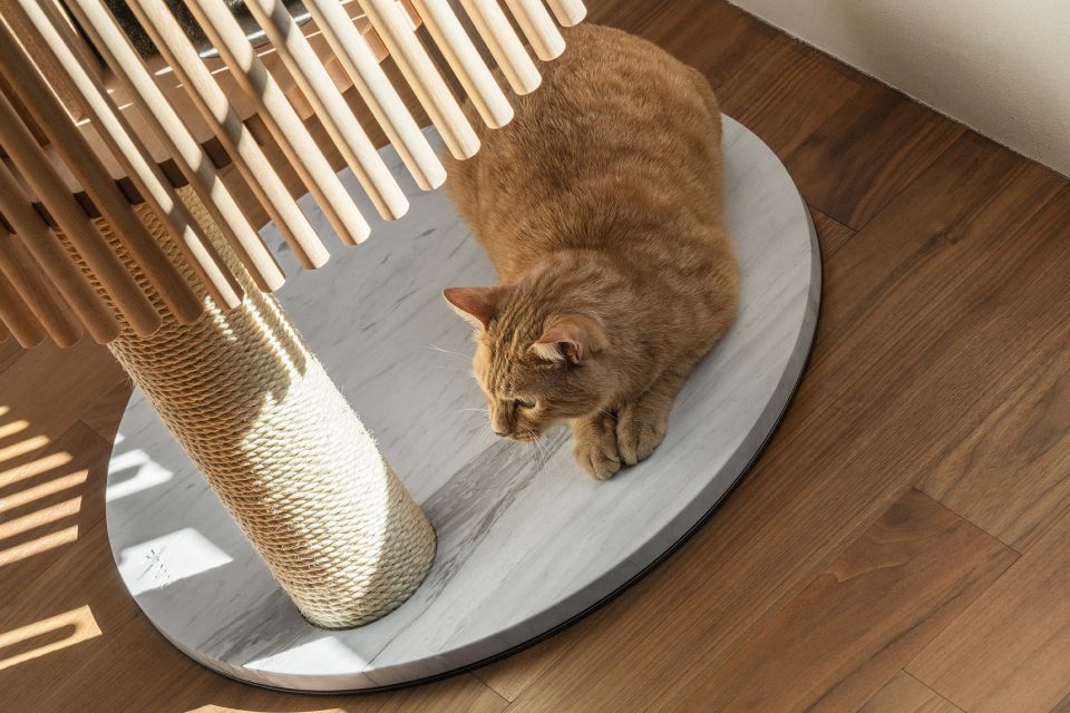 Modern Cat Tree NEKO by RINN