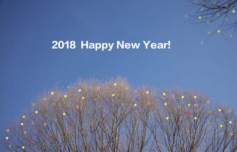 2018 Happy New Year!