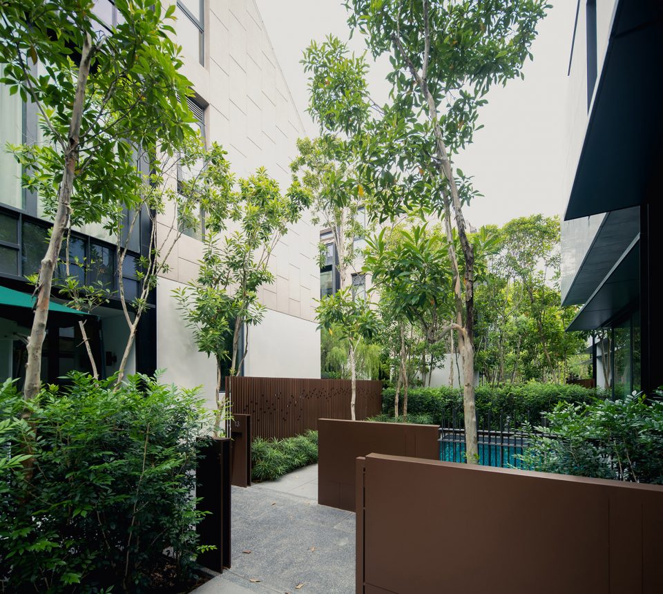 path Asimont locus associates