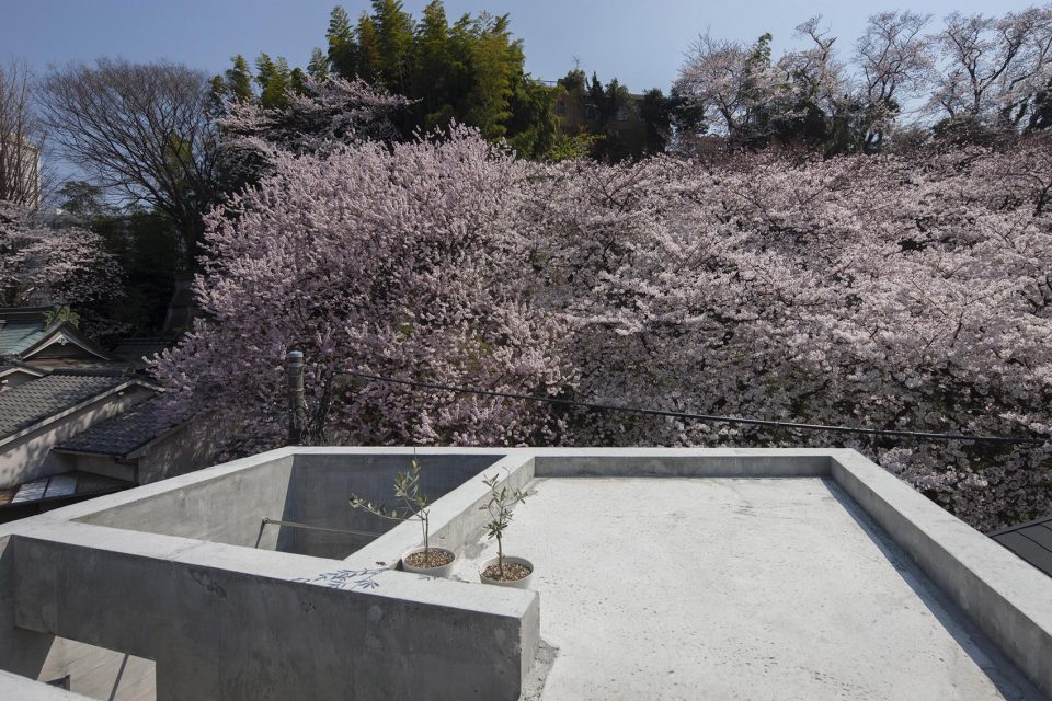 roof oriel window house shinsuke fujii architects