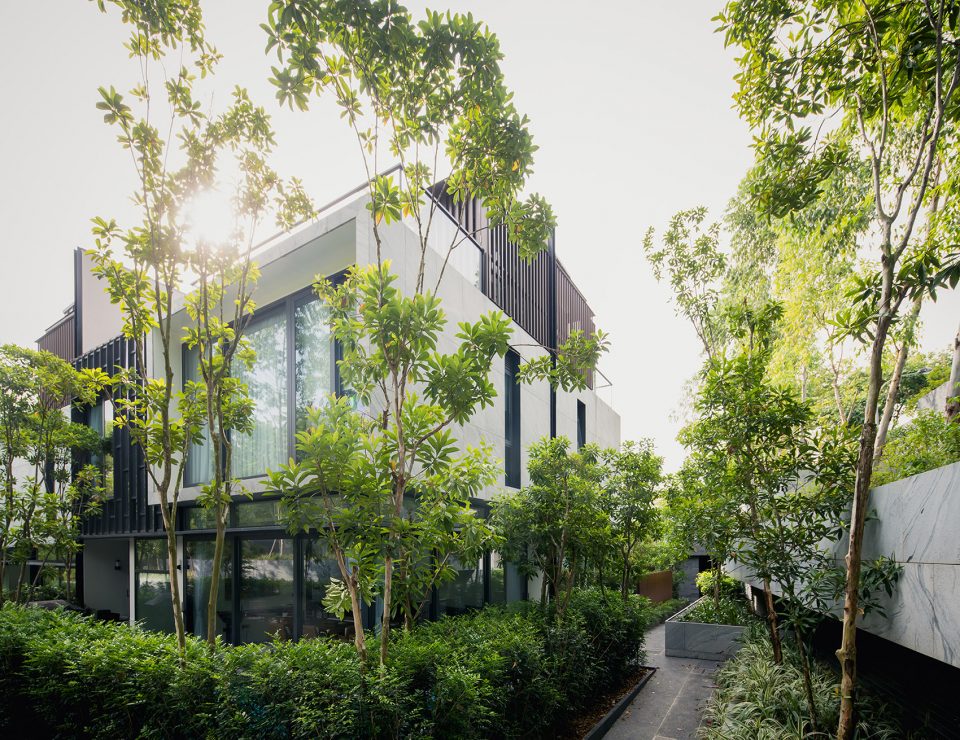 vegetaion Asimont locus associates