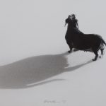 墨绘狗年 / Endre Penovác