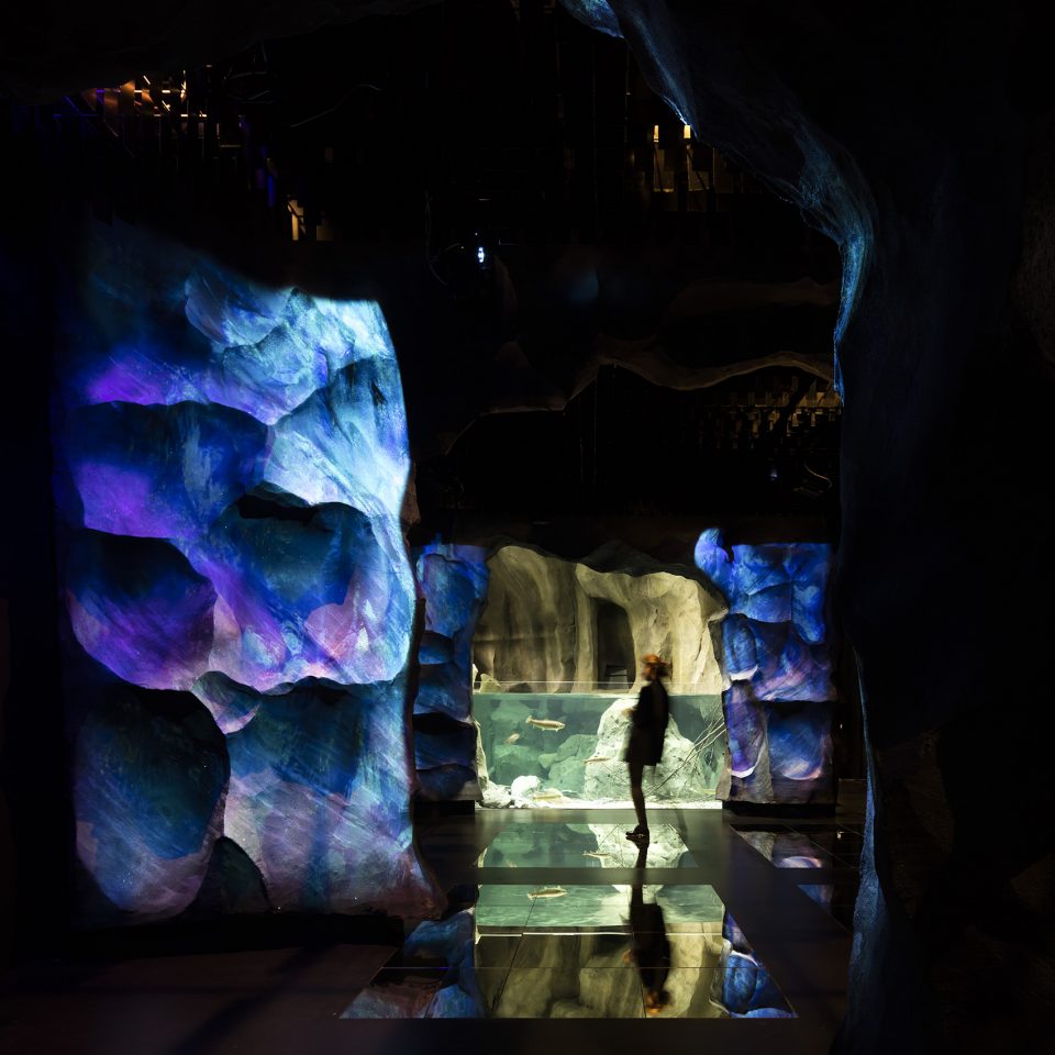 Aquatis Aquarium Vivarium Lausanne by Richter Dahl Rocha Associés Architects