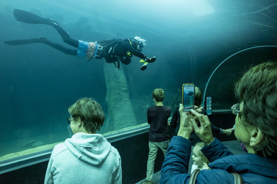 Aquatis Aquarium Vivarium Lausanne by Richter Dahl Rocha Associés Architects