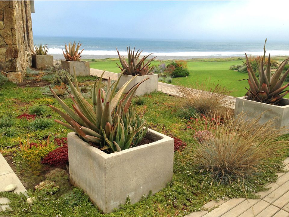 2017 asla residential design honor award casa las brisas formation of a coastal retreat by c stuart moore design