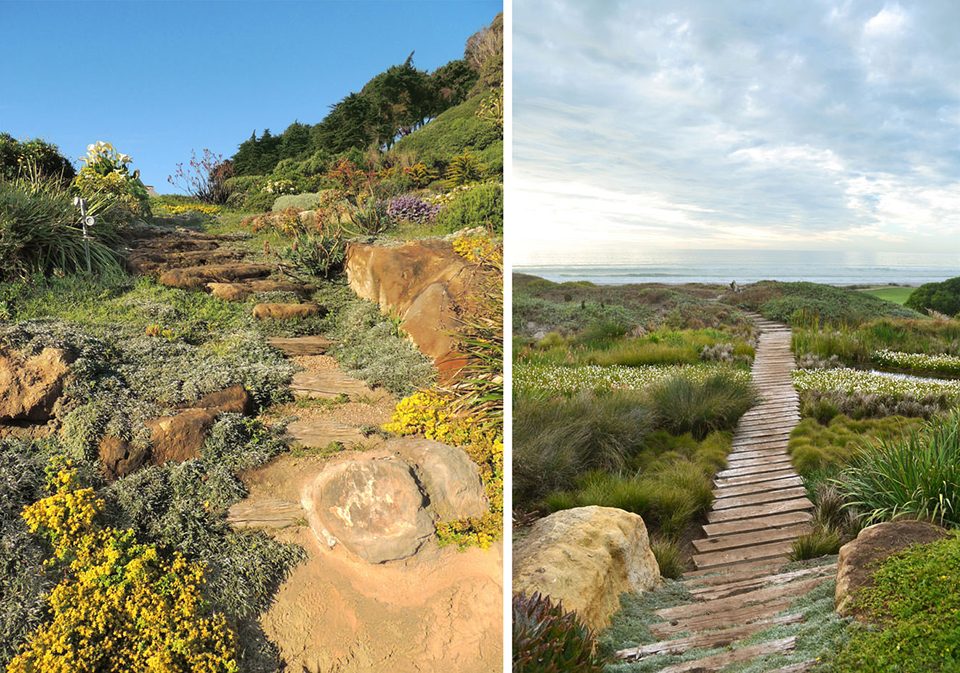 2017 asla residential design honor award casa las brisas formation of a coastal retreat by c stuart moore design