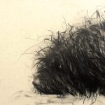 墨绘狗年 / Endre Penovác