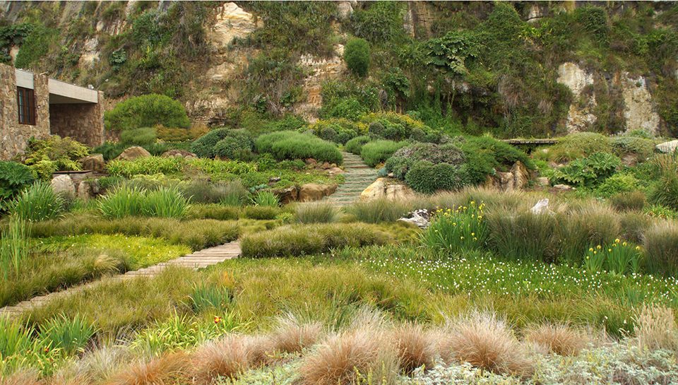 2017 asla residential design honor award casa las brisas formation of a coastal retreat by c stuart moore design